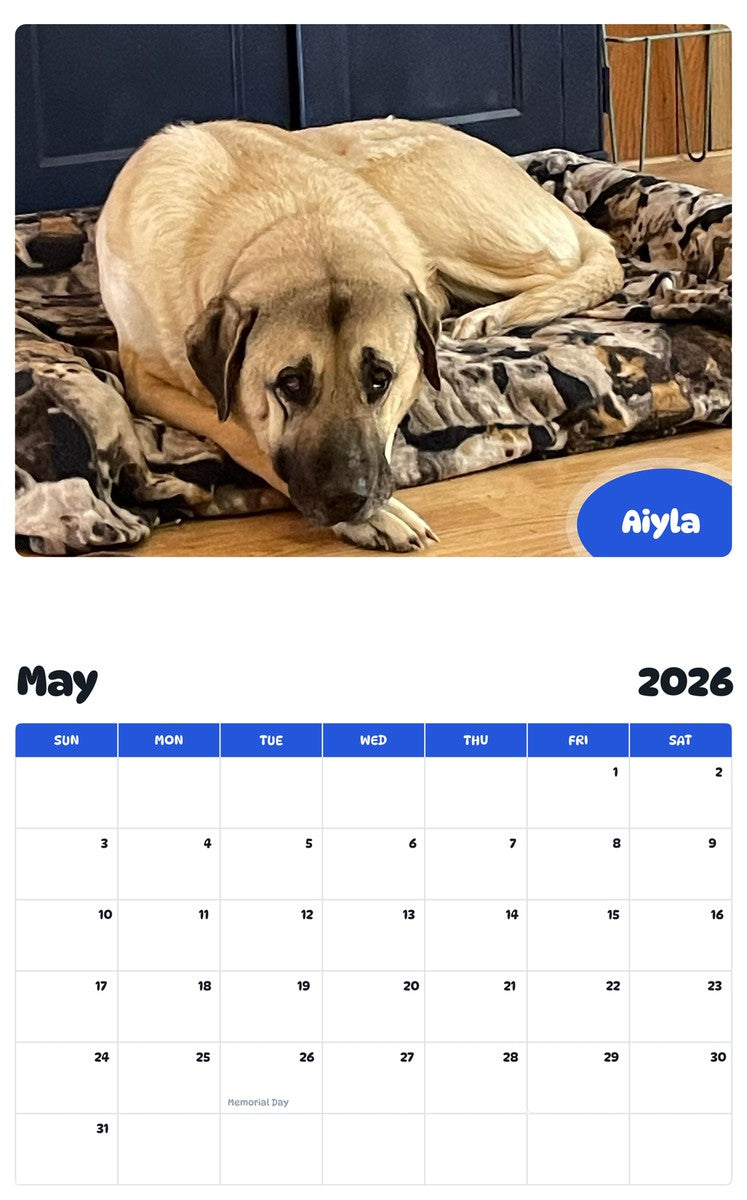2026 - 2027 Aiyla - Pawidols Pet Calendar