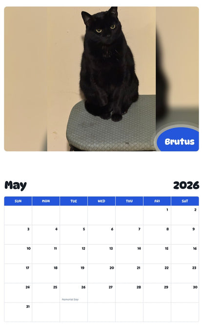 2026 - 2027 Brutus - Pawidols Pet Calendar