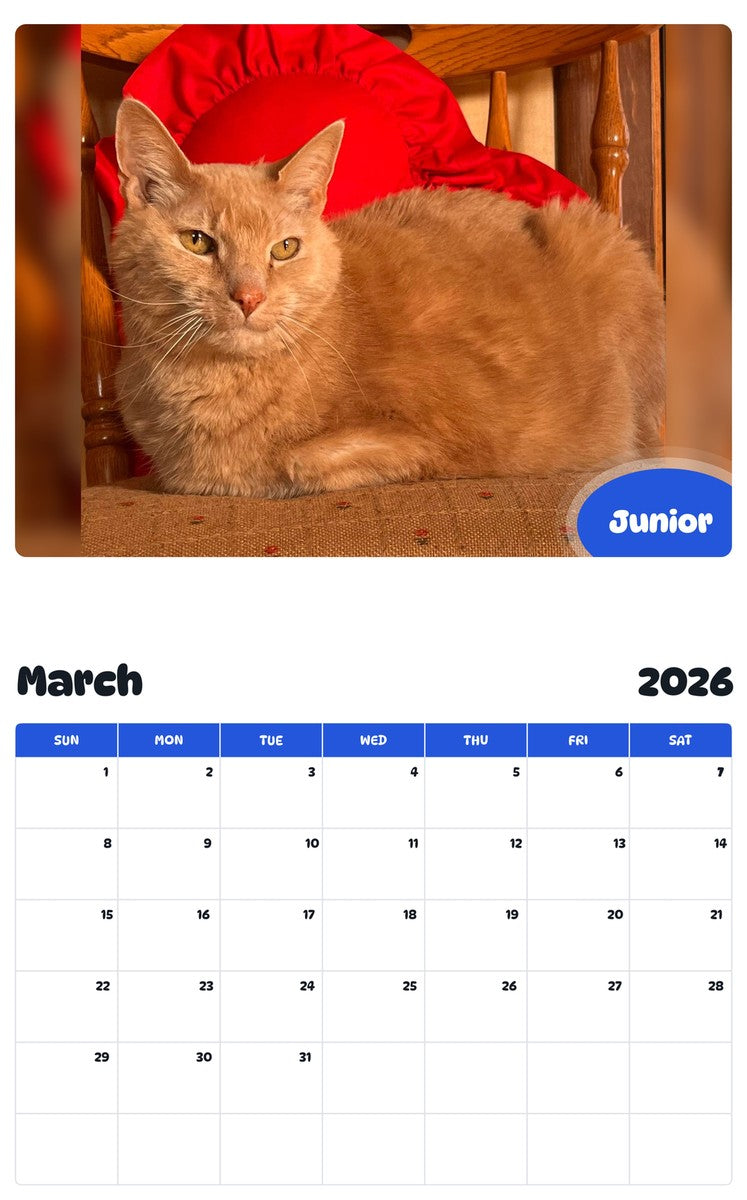 November 2025 - October 2026 Junior - Pawidols Pet Calendar