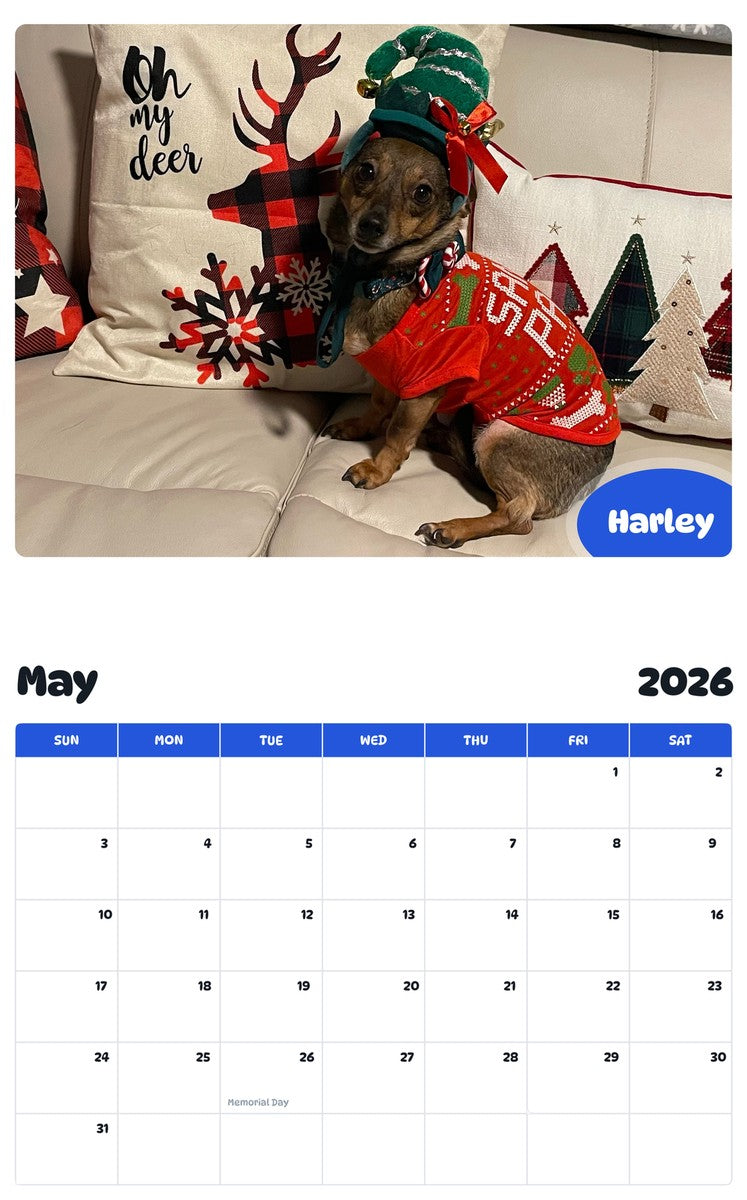 2026 - 2027 Harley - Pawidols Pet Calendar