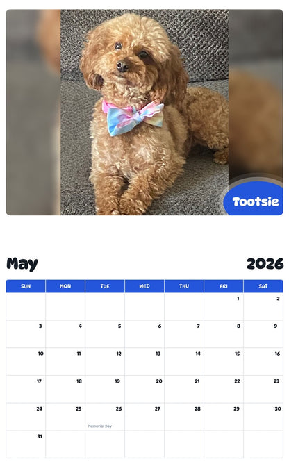 2026 - 2027 Tootsie - Pawidols Pet Calendar