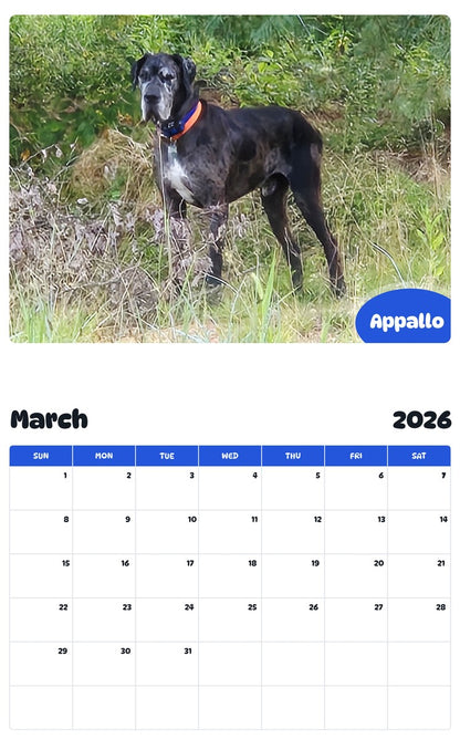 November 2025 - October 2026 Appallo - Pawidols Pet Calendar