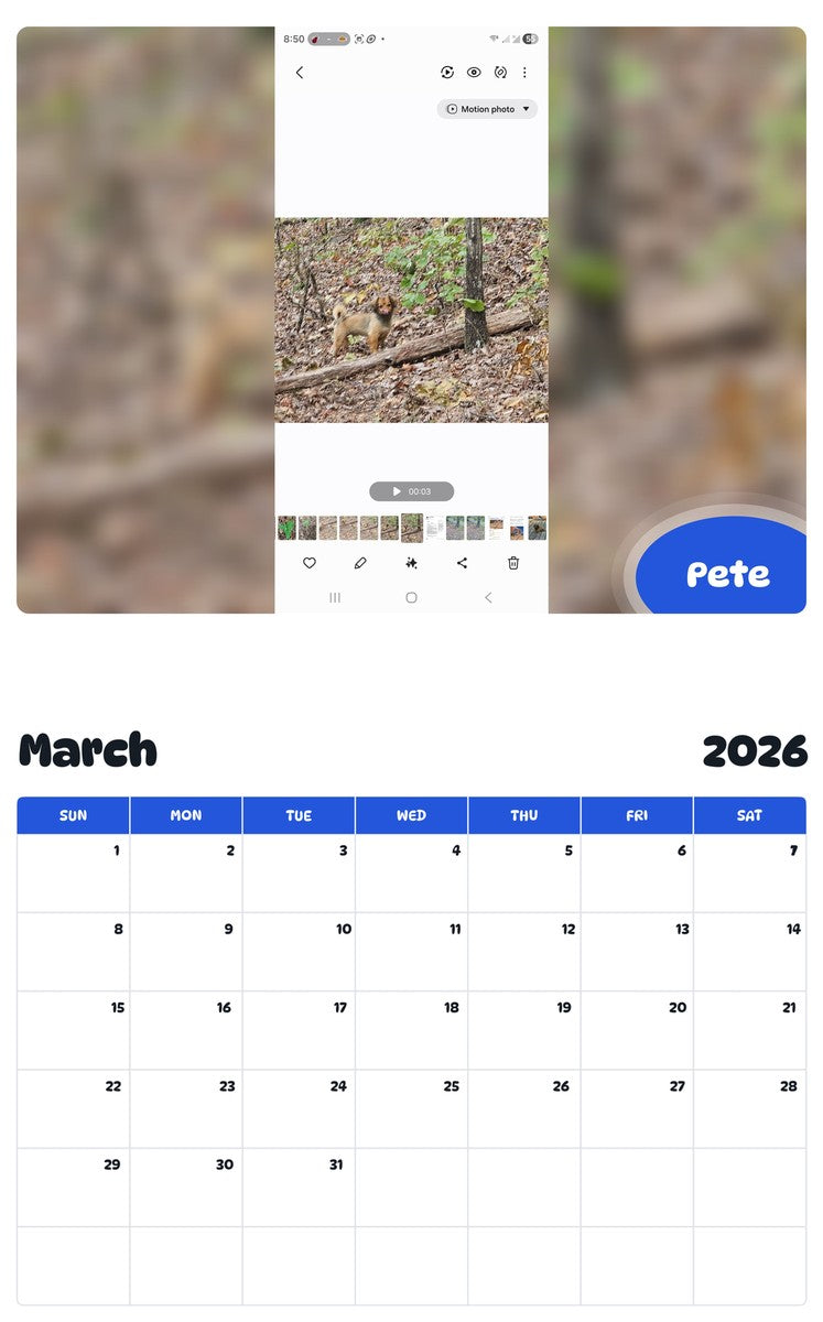 November 2025 - October 2026 Pete - Pawidols Pet Calendar