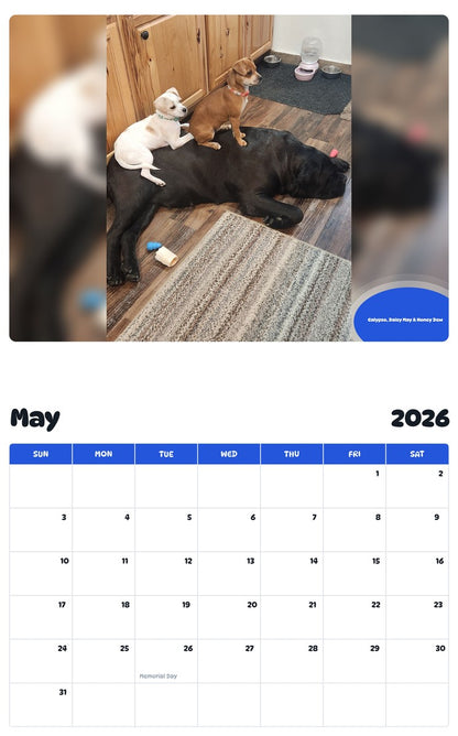 2026 - 2027 Calypso, Daisy May & Honey Dew - Pawidols Pet Calendar