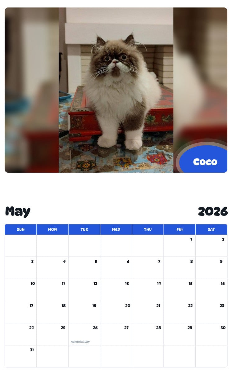 2026 - 2027 Coco - Pawidols Pet Calendar