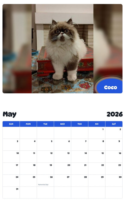 2026 - 2027 Coco - Pawidols Pet Calendar