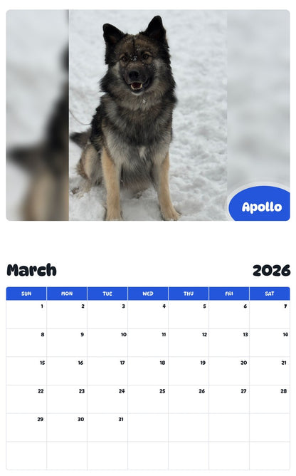 November 2025 - October 2026 Apollo - Pawidols Pet Calendar