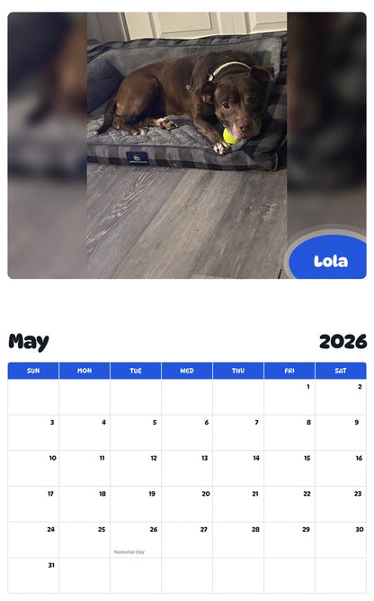 2026 - 2027 Lola - Pawidols Pet Calendar