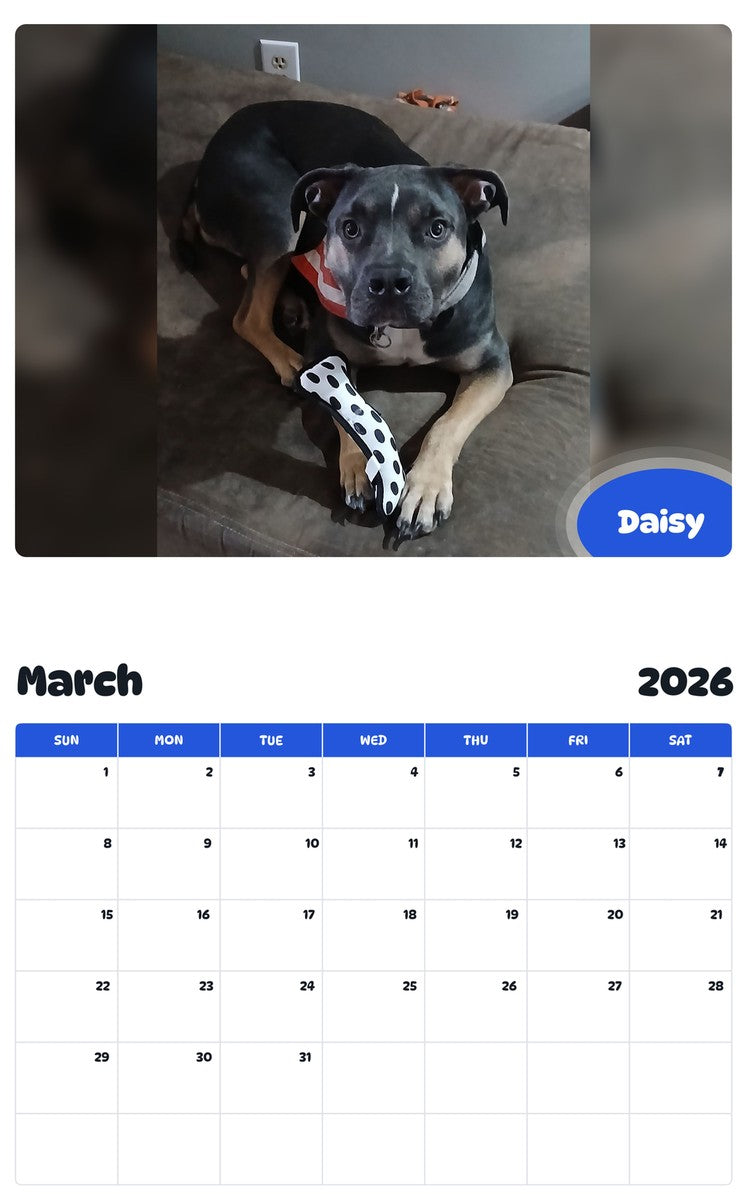 November 2025 - October 2026 Daisy - Pawidols Pet Calendar