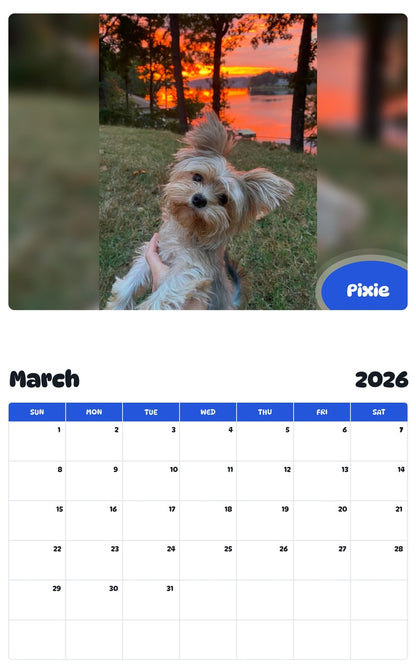 November 2025 - October 2026 Pixie - Pawidols Pet Calendar