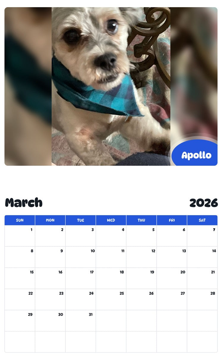 November 2025 - October 2026 Apollo - Pawidols Pet Calendar