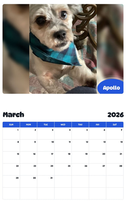 November 2025 - October 2026 Apollo - Pawidols Pet Calendar