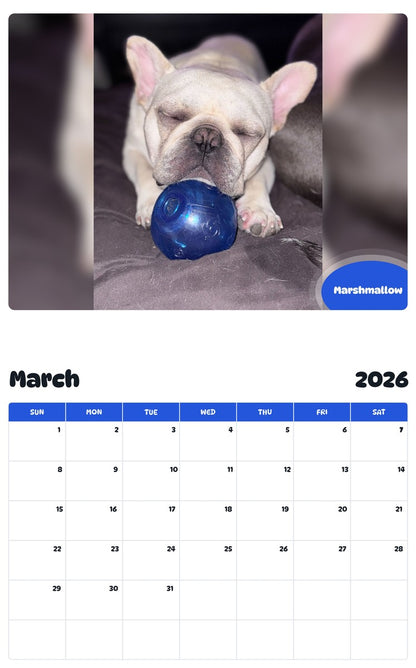 November 2025 - October 2026 Marshmallow - Pawidols Pet Calendar