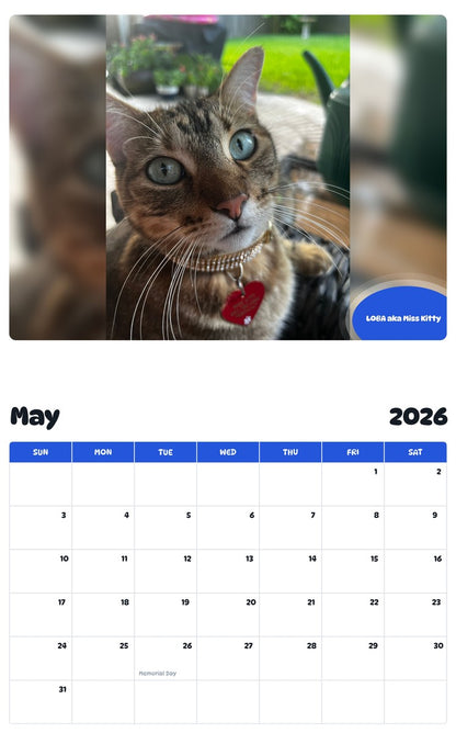 2026 - 2027 LOBA aka Miss Kitty - Pawidols Pet Calendar
