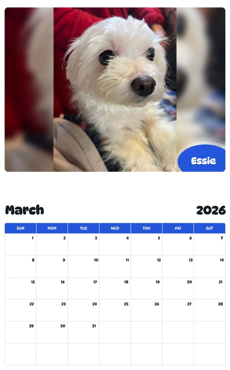 November 2025 - October 2026 Essie - Pawidols Pet Calendar