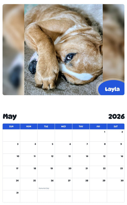 2026 - 2027 Layla - Pawidols Pet Calendar