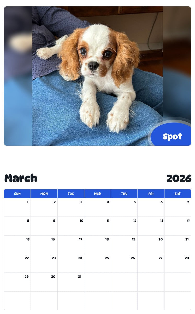 November 2025 - October 2026 Spot - Pawidols Pet Calendar