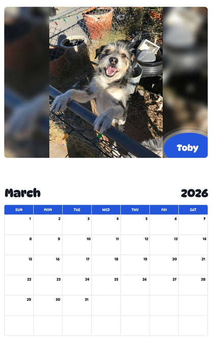 November 2025 - October 2026 Toby - Pawidols Pet Calendar