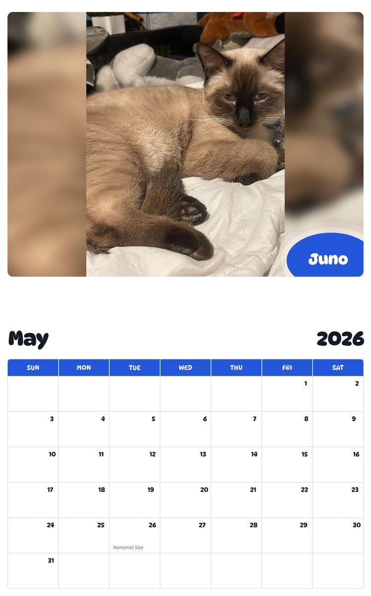 2026 - 2027 Juno - Pawidols Pet Calendar