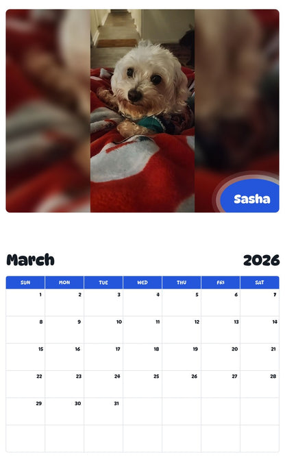 November 2025 - October 2026 Sasha - Pawidols Pet Calendar