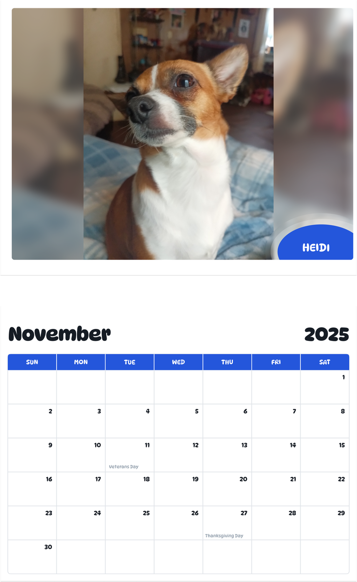 July 2025 - June 2026 Heidi - Pawidols Pet Calendar