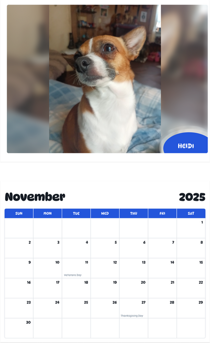 July 2025 - June 2026 Heidi - Pawidols Pet Calendar