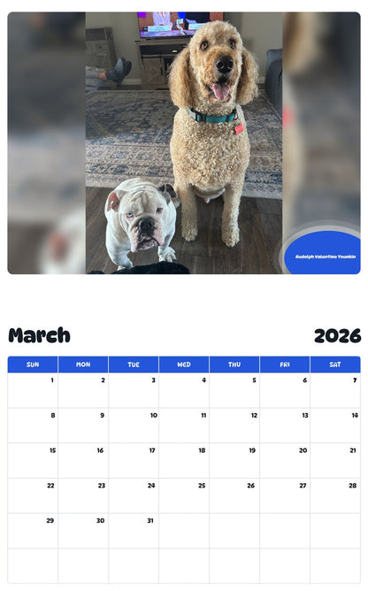 November 2025 - October 2026 Rudolph Valentino Younkin - Pawidols Pet Calendar