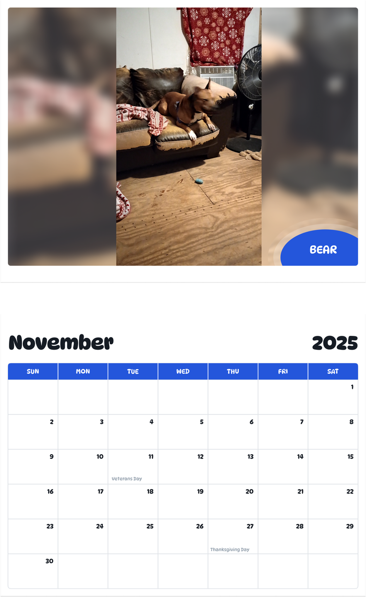July 2025 - June 2026 Bear - Pawidols Pet Calendar
