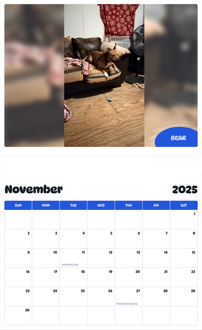 July 2025 - June 2026 Bear - Pawidols Pet Calendar