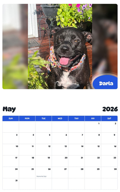 2026 - 2027 Darla - Pawidols Pet Calendar