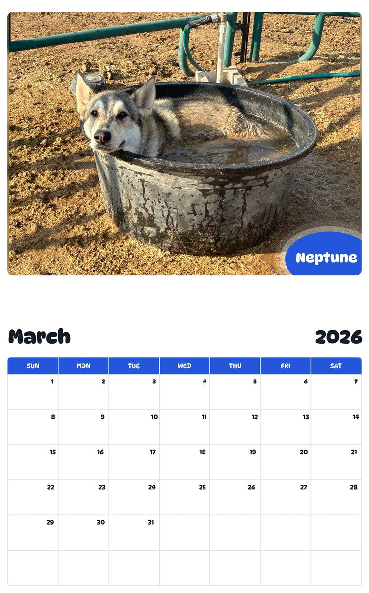 November 2025 - October 2026 Neptune - Pawidols Pet Calendar