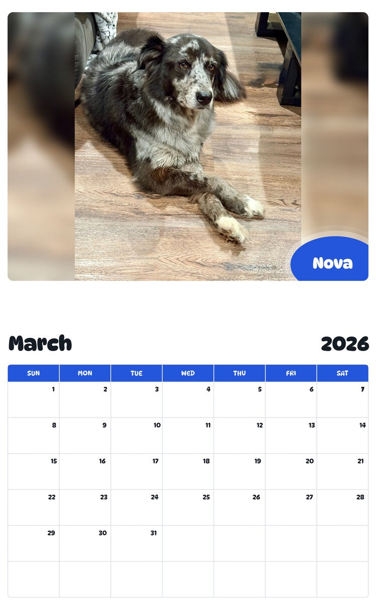 November 2025 - October 2026 Nova - Pawidols Pet Calendar