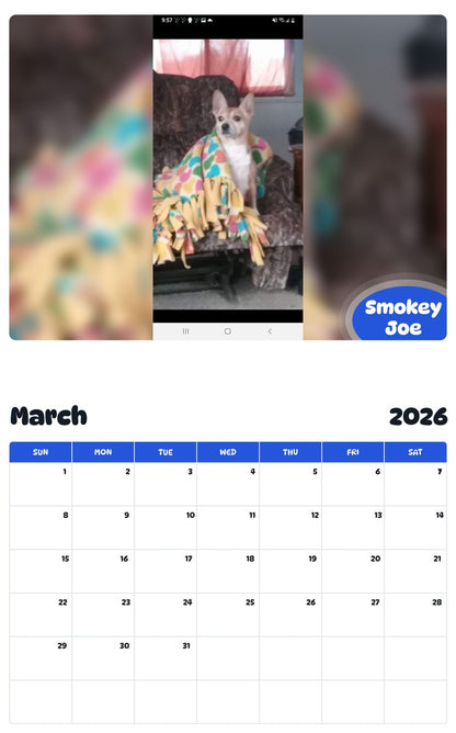 November 2025 - October 2026 Smokey Joe - Pawidols Pet Calendar