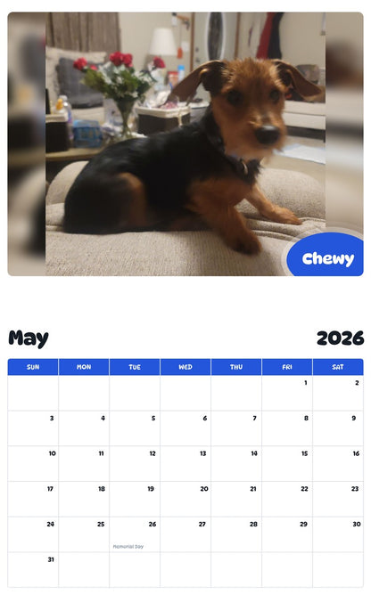 2026 - 2027 Chewy - Pawidols Pet Calendar