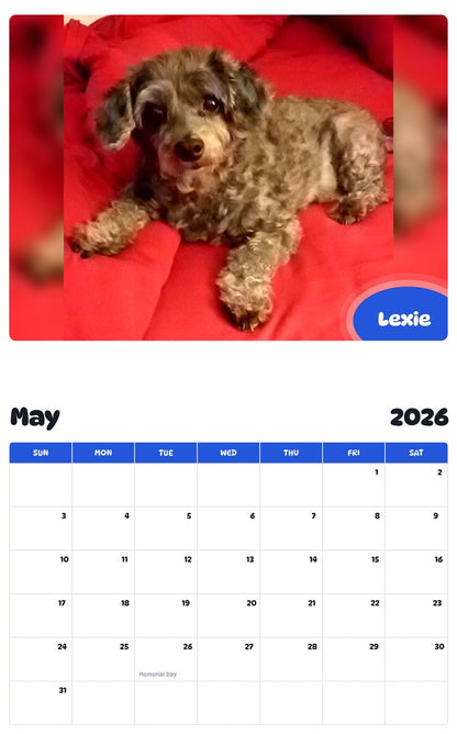 2026 - 2027 Lexie - Pawidols Pet Calendar