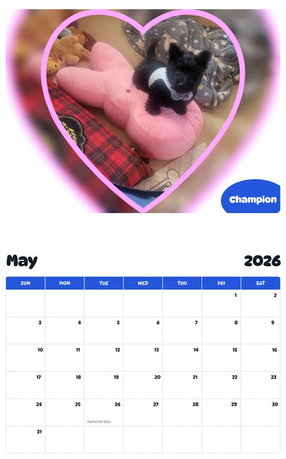 2026 - 2027 Champion - Pawidols Pet Calendar