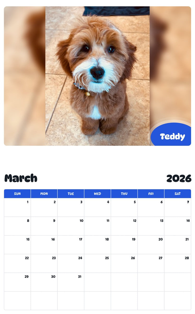 November 2025 - October 2026 Teddy - Pawidols Pet Calendar