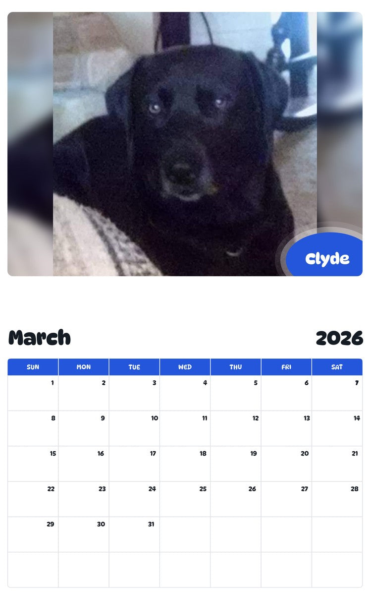 November 2025 - October 2026 Clyde - Pawidols Pet Calendar