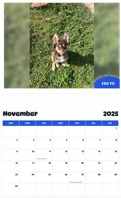 July 2025 - June 2026 fro yo - Pawidols Pet Calendar