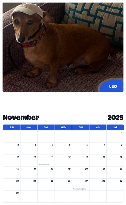 July 2025 - June 2026 Leo - Pawidols Pet Calendar