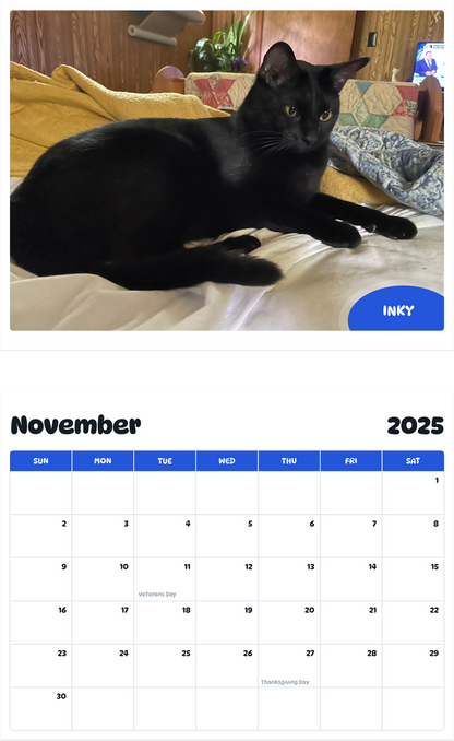 July 2025 - June 2026 Inky - Pawidols Pet Calendar