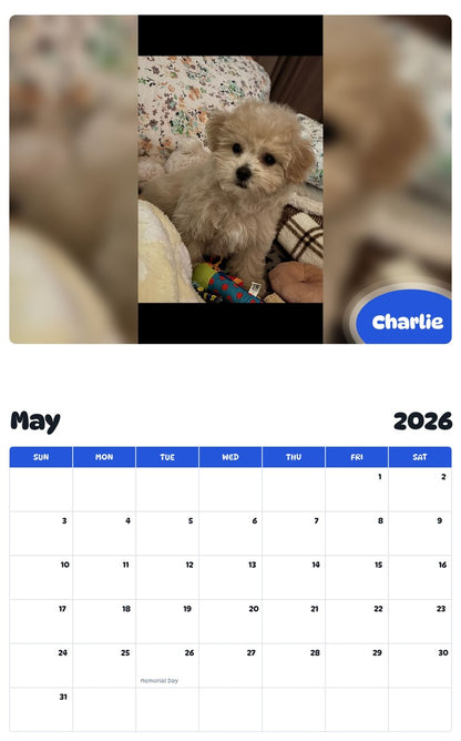 2026 - 2027 Charlie - Pawidols Pet Calendar