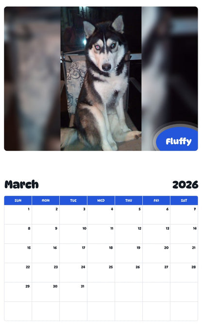 November 2025 - October 2026 Fluffy - Pawidols Pet Calendar