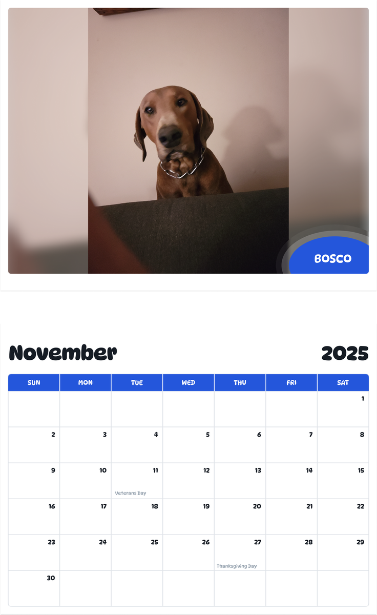 July 2025 - June 2026 Bosco - Pawidols Pet Calendar