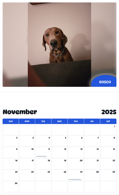 July 2025 - June 2026 Bosco - Pawidols Pet Calendar