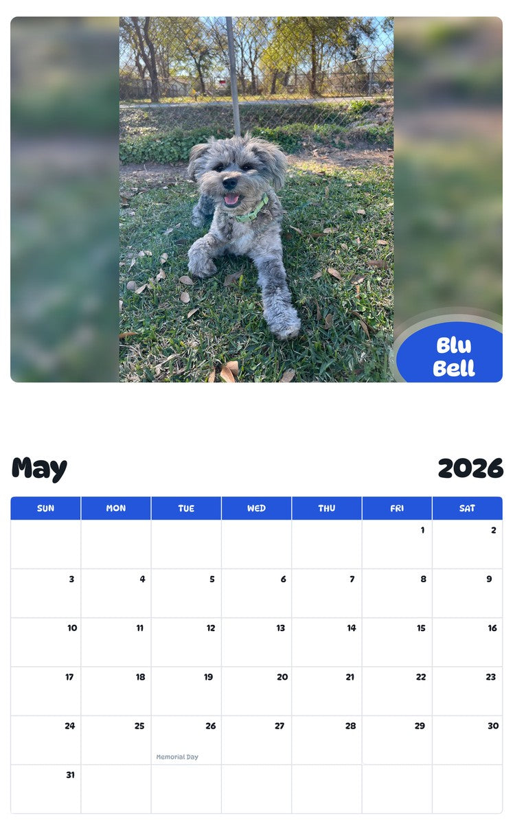 2026 - 2027 Blu Bell - Pawidols Pet Calendar