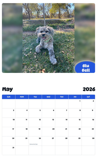 2026 - 2027 Blu Bell - Pawidols Pet Calendar