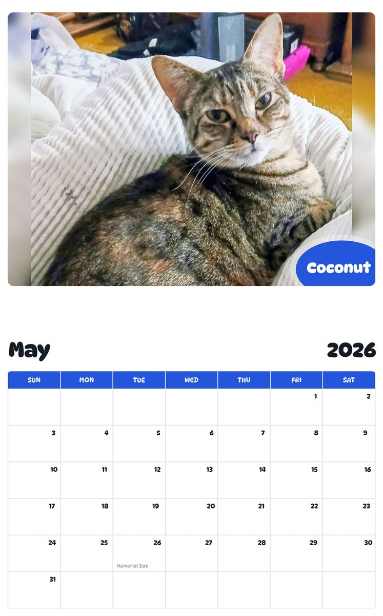 2026 - 2027 Coconut - Pawidols Pet Calendar