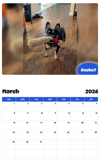November 2025 - October 2026 Rocket - Pawidols Pet Calendar