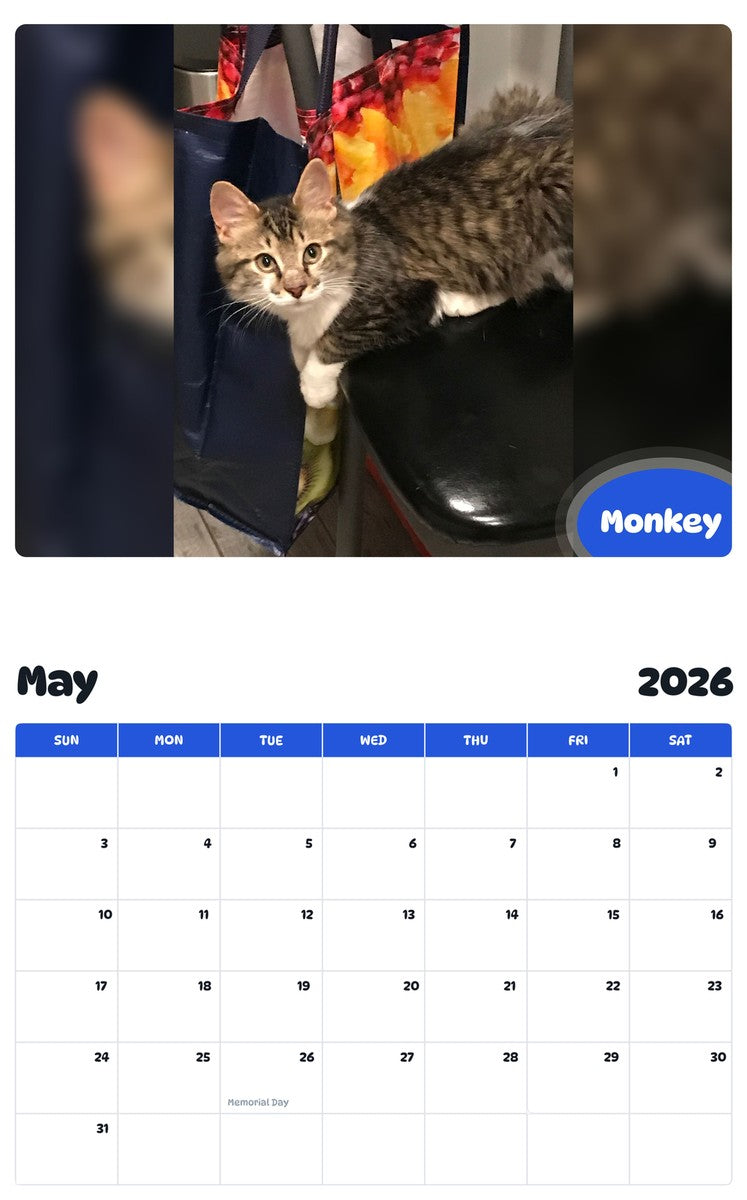 2026 - 2027 Monkey - Pawidols Pet Calendar